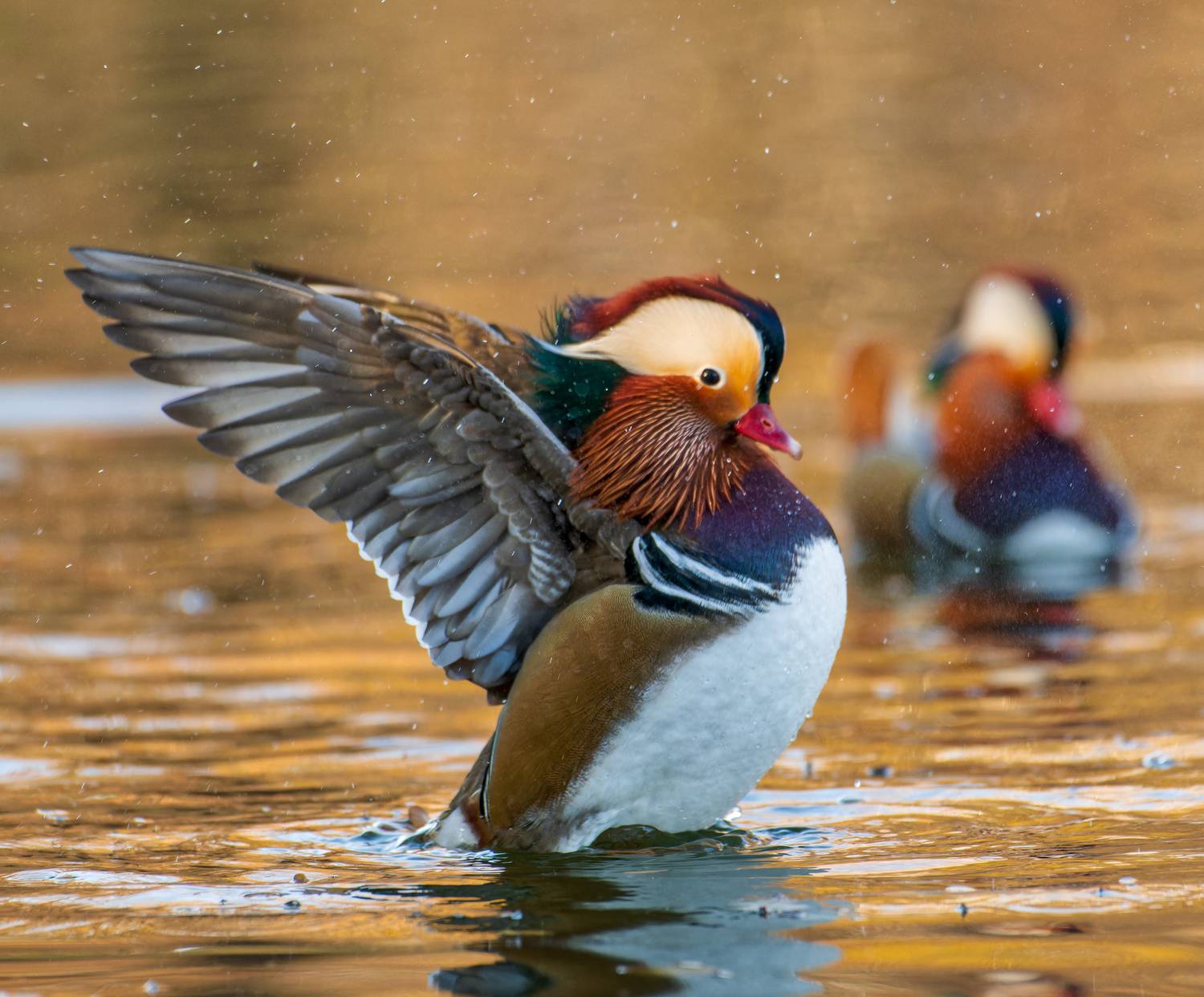 , Фото Александр