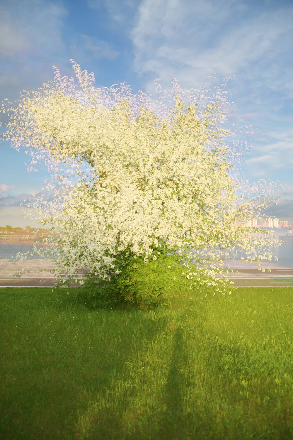 цветение, яблоня, ранетка, мультиэкспозиция, двойная экспозиция, весна, Андреева Светлана