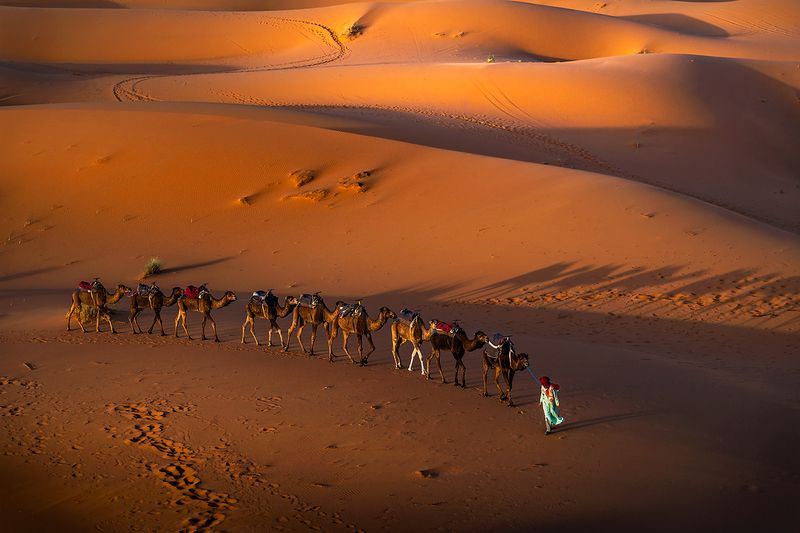 landscape nature scenery spring desert sahara sand berber bedouin sunrise morning пейзаж рассвет пустыня Minutes before a journey / Минуты до поездки фото превью