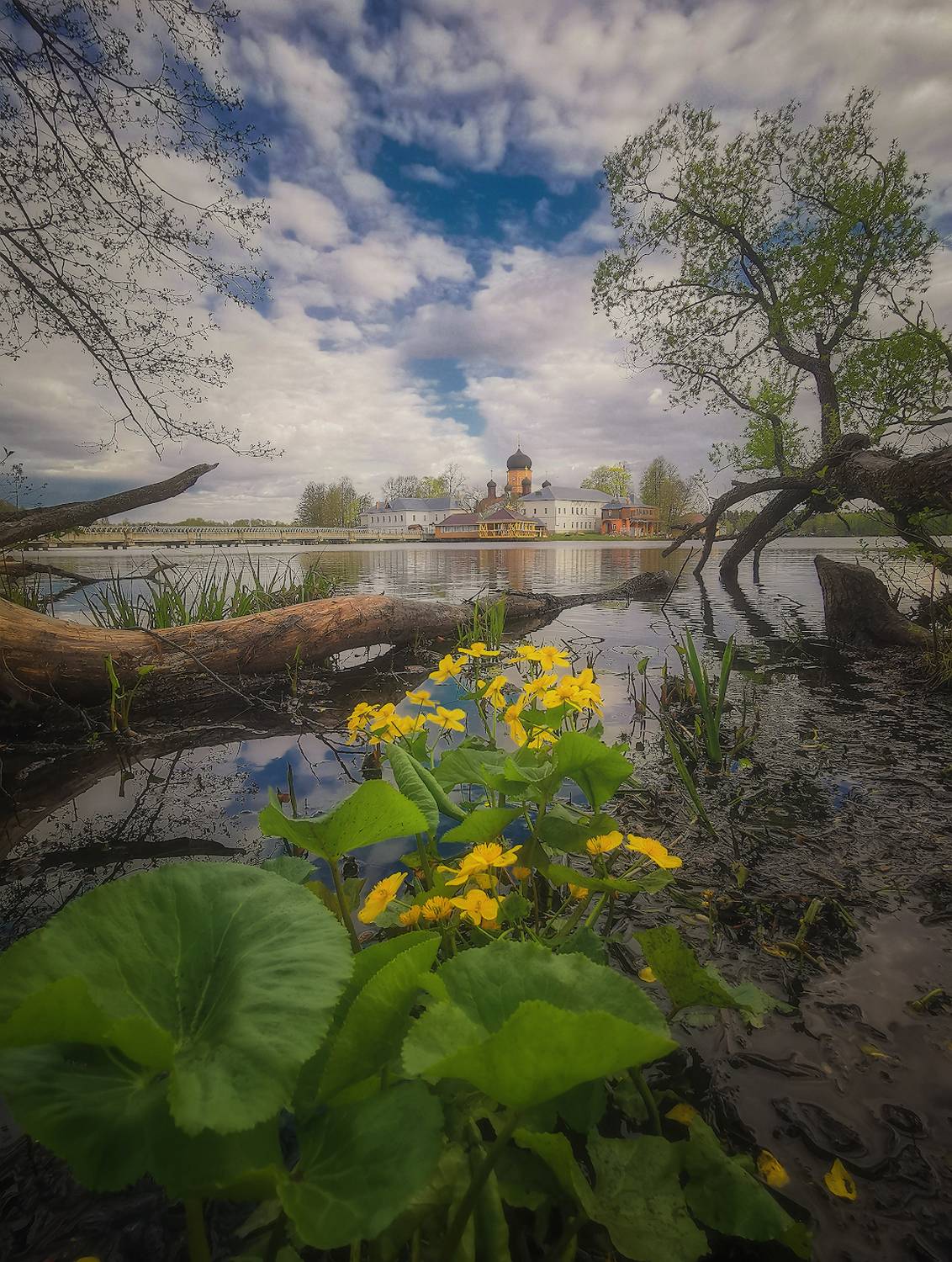 введенский, монастырь, весна, Виталий Левыкин