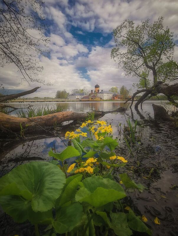 Весна фото превью