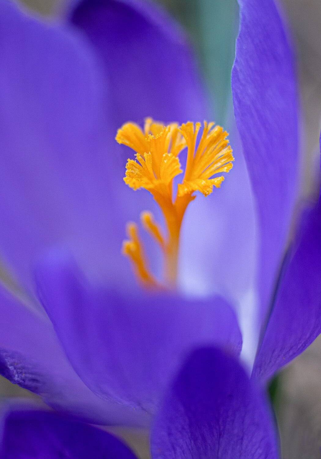 , Черновол Валентин