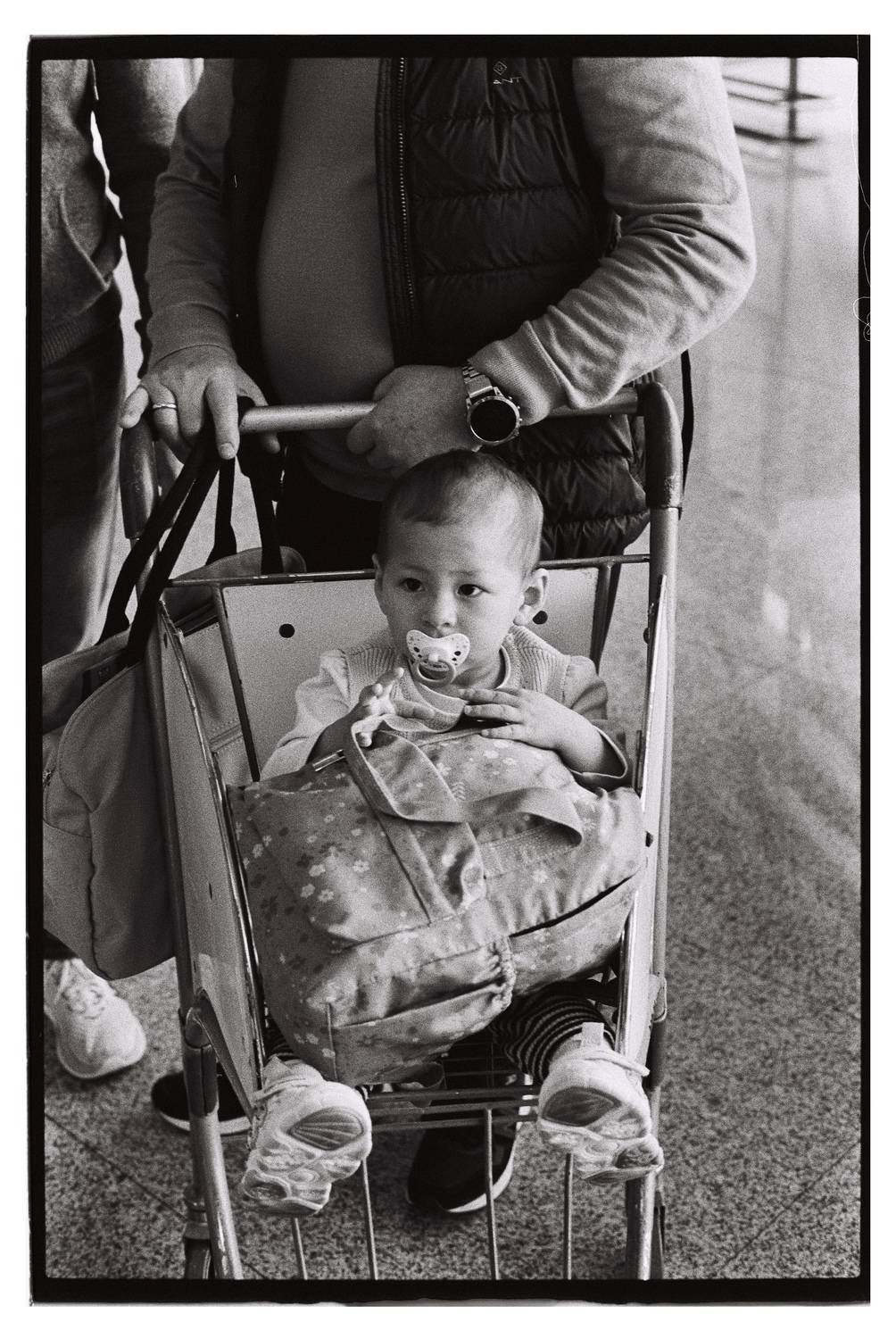 , Щеглова Марина