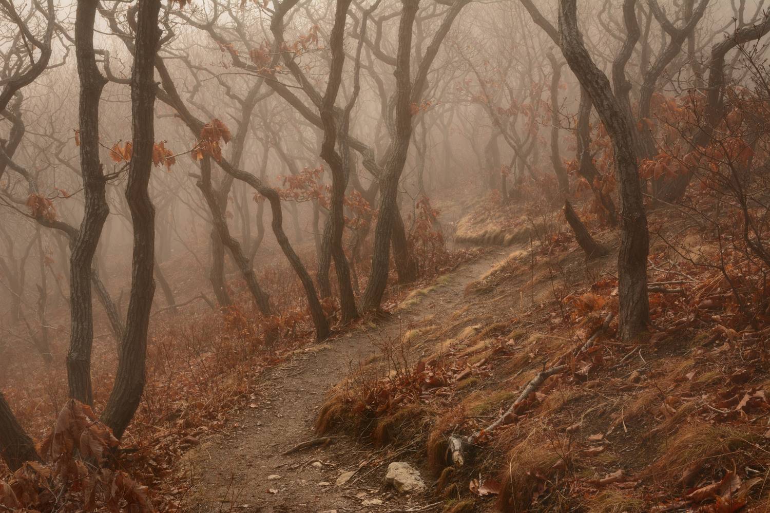 приморье, Едуш Сергей