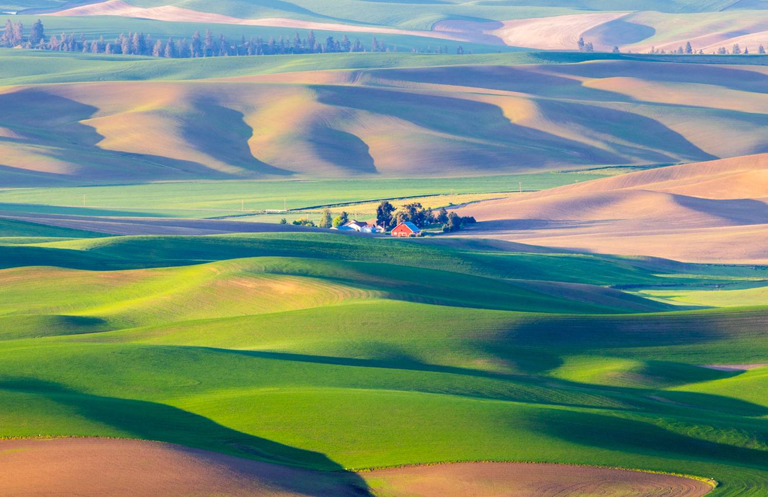 , Лозицкий Александр