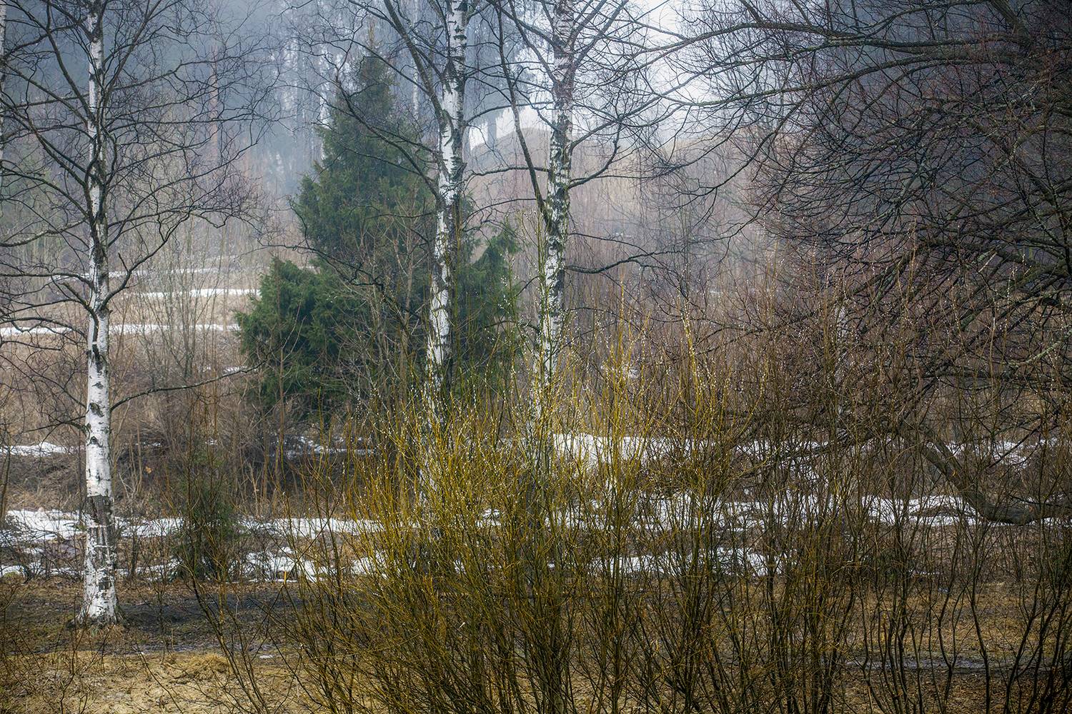 ,  александр михайлов