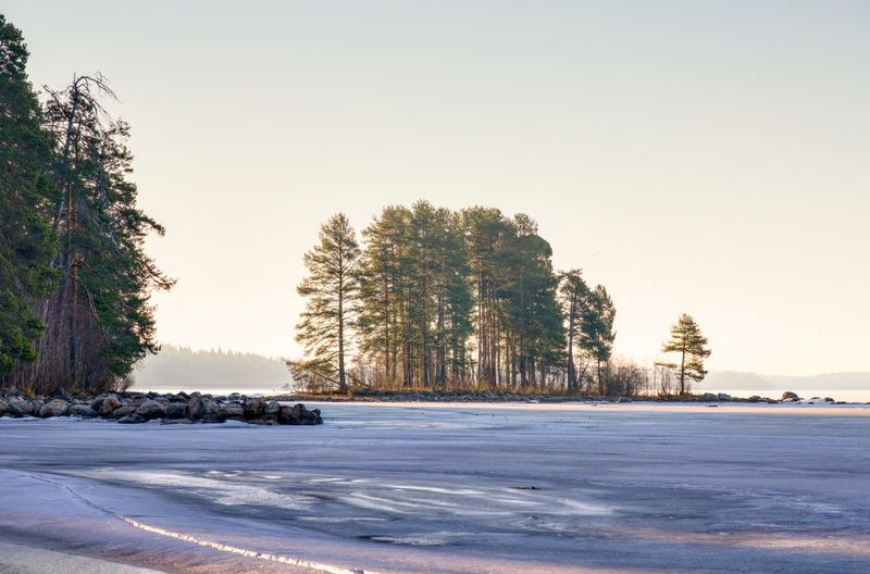 Утро на Онежском озере фото превью
