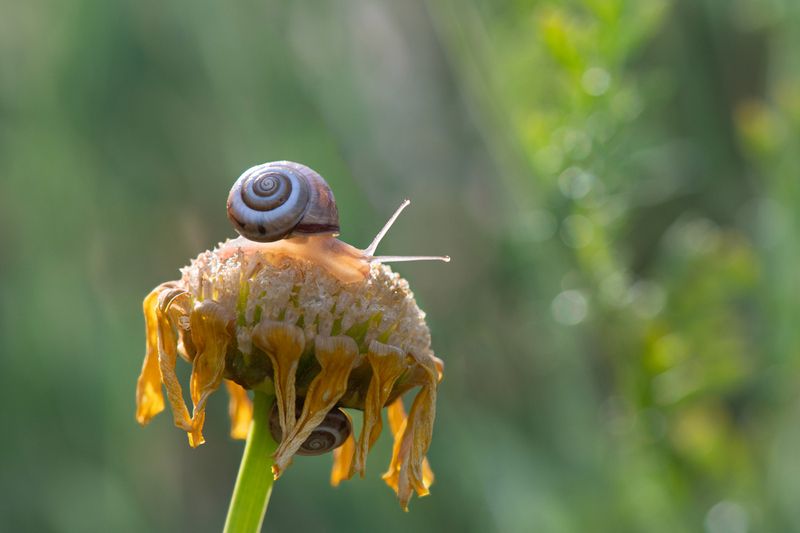 *Пока ещё весна… фото превью