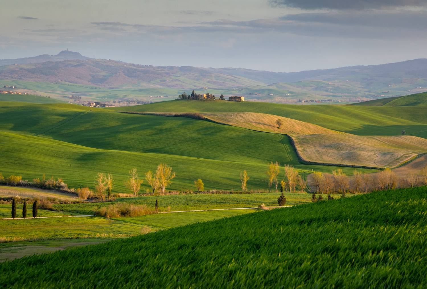 , Алекс Римский