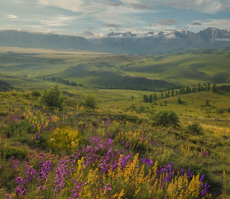 Фототуры с Владимиром Рябковым, #topnature #russpasibo #magic_shots #lovelyRussia #sunset_vision #exclusive_sky  #exclusive_shots #loves_russia2 #photoarena_nature #nature_sultans #nature_perfection #rsa_sky #rsa_sunset #photorussia #rsa_naturepics #sunse Курайская степь в июле. фото превью