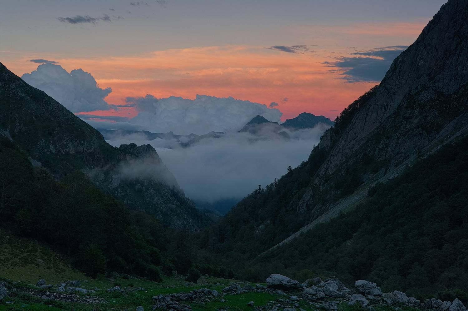 , Wojciech Tarnowski