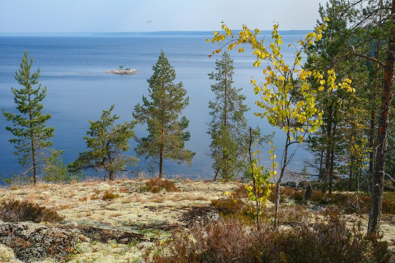 карелия, онего, острова лосьи На Лосьих островах фото превью