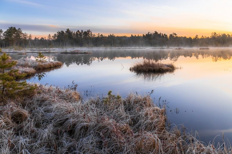 пейзаж Место встречи - болото... фото превью
