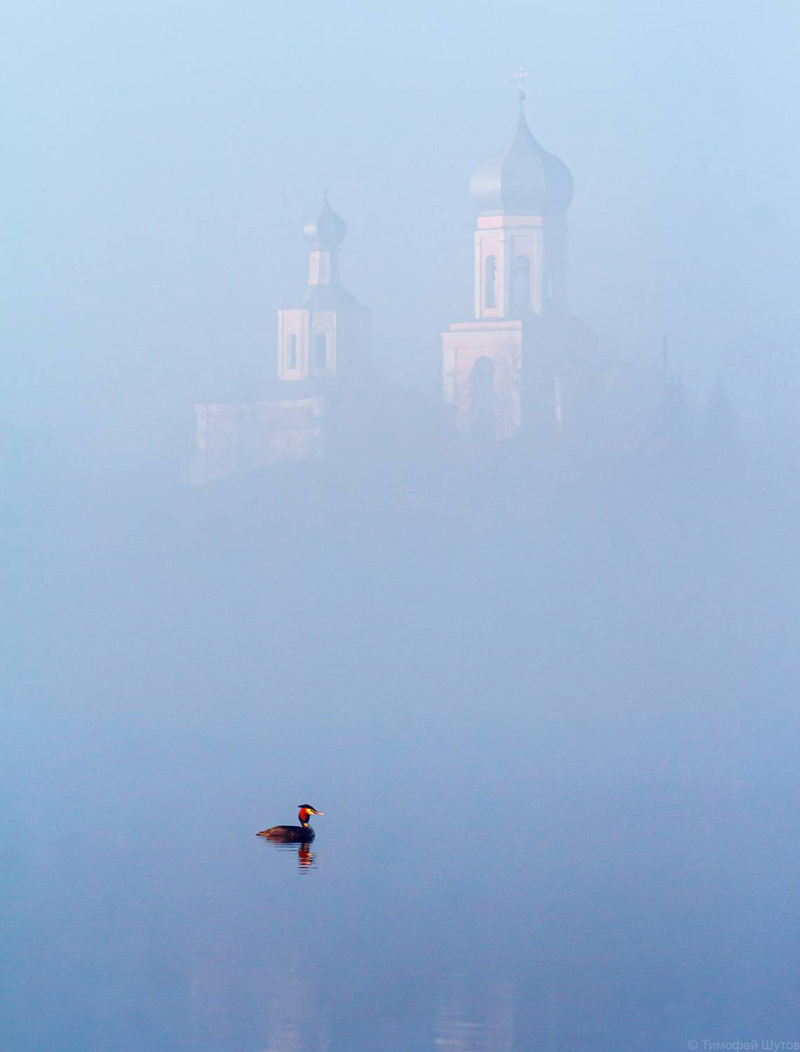 валдай, Тимофей Шутов