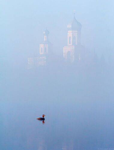 Невесомость