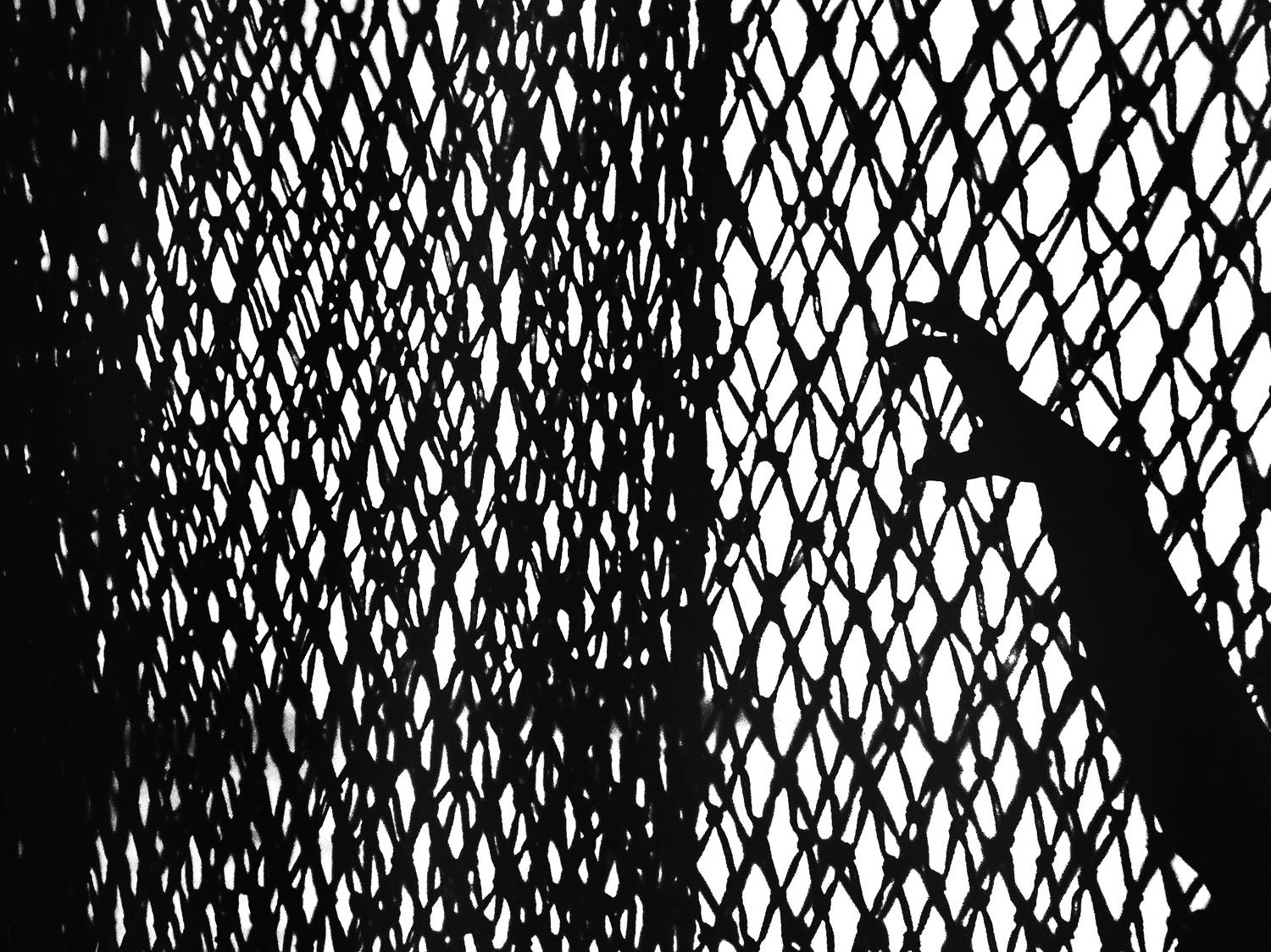 Сеть, рука, Зорин Миша