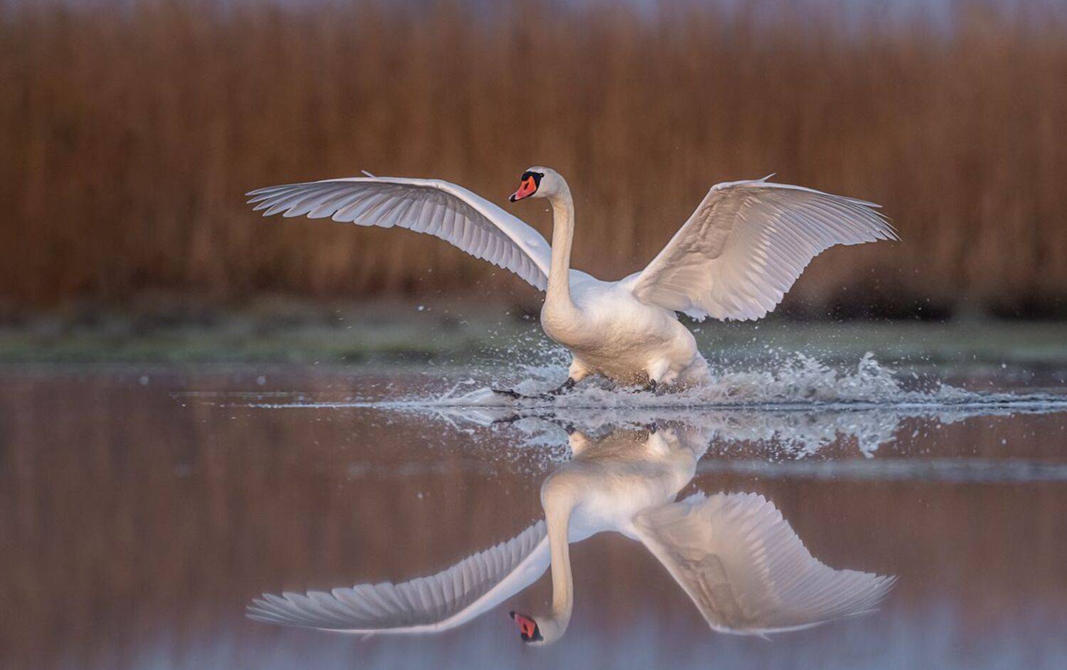 , Sławek Przybylski