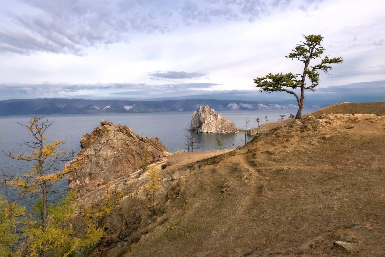 осень, ольхон, лиственница, шаманка, Фомина Марина