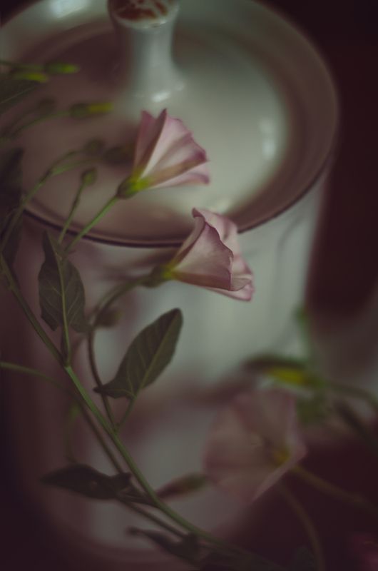 *** фото превью