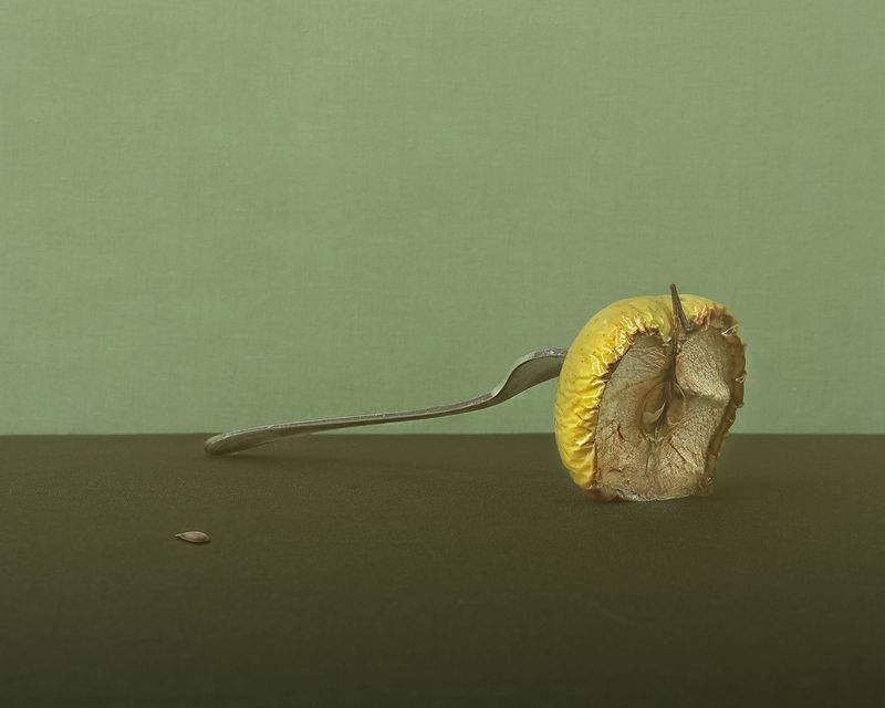 Про яблоко и его семечко фото превью