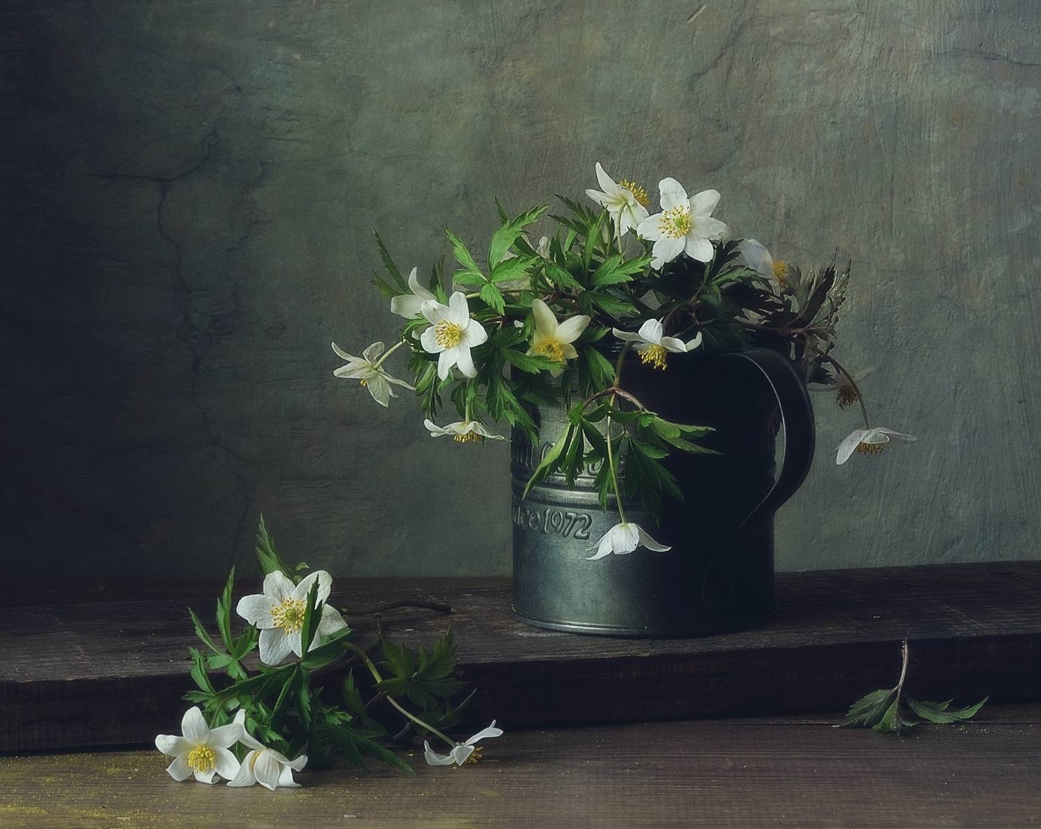 натюрморт,весна,ветреницы,первоцветв,анемоны, Наталия К