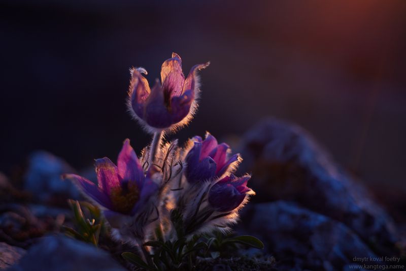 пейзажемагьё, пейзаж-как-виденье Где-то в Космосе… фото превью