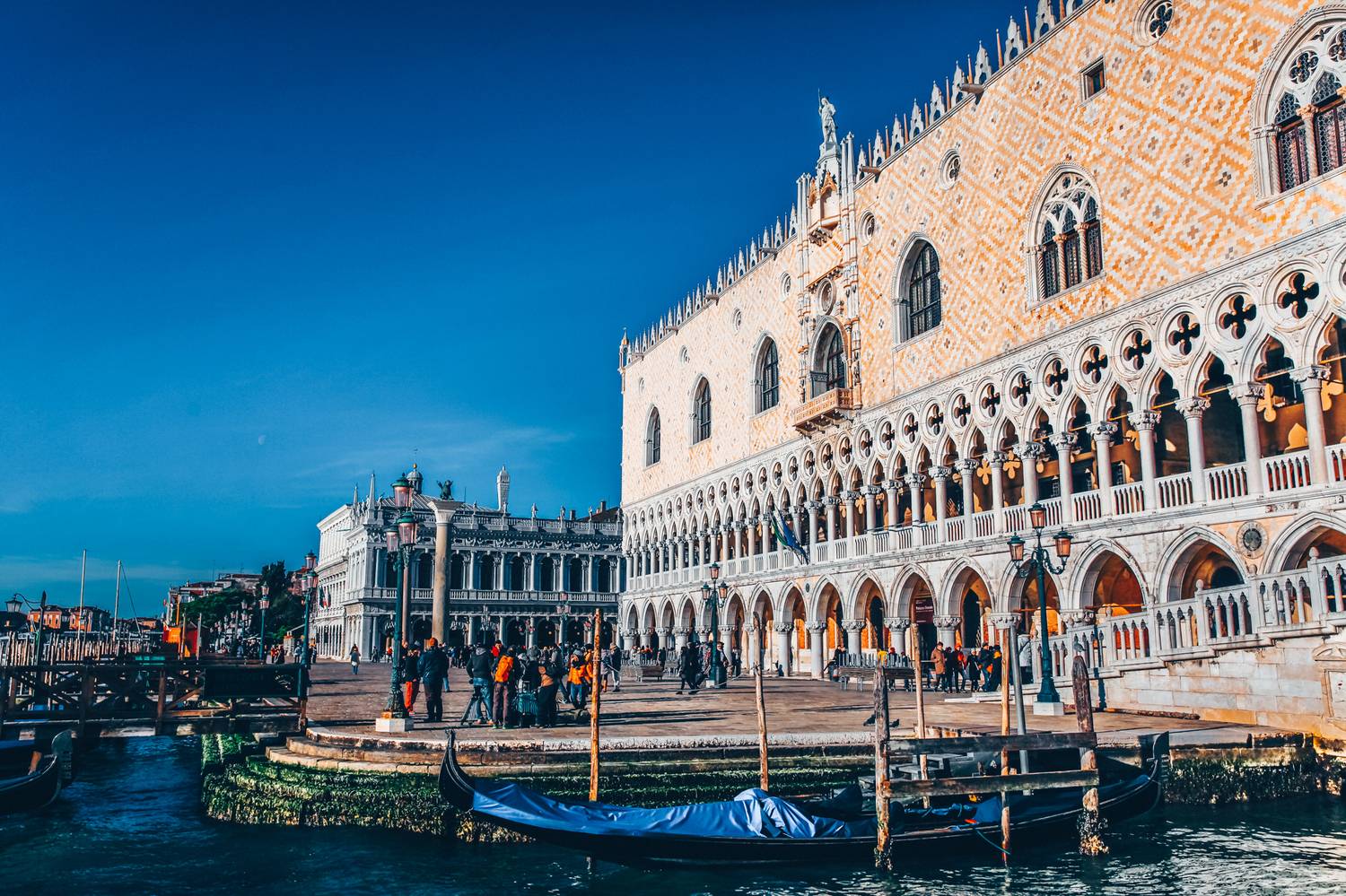 , Трепольский Дмитрий