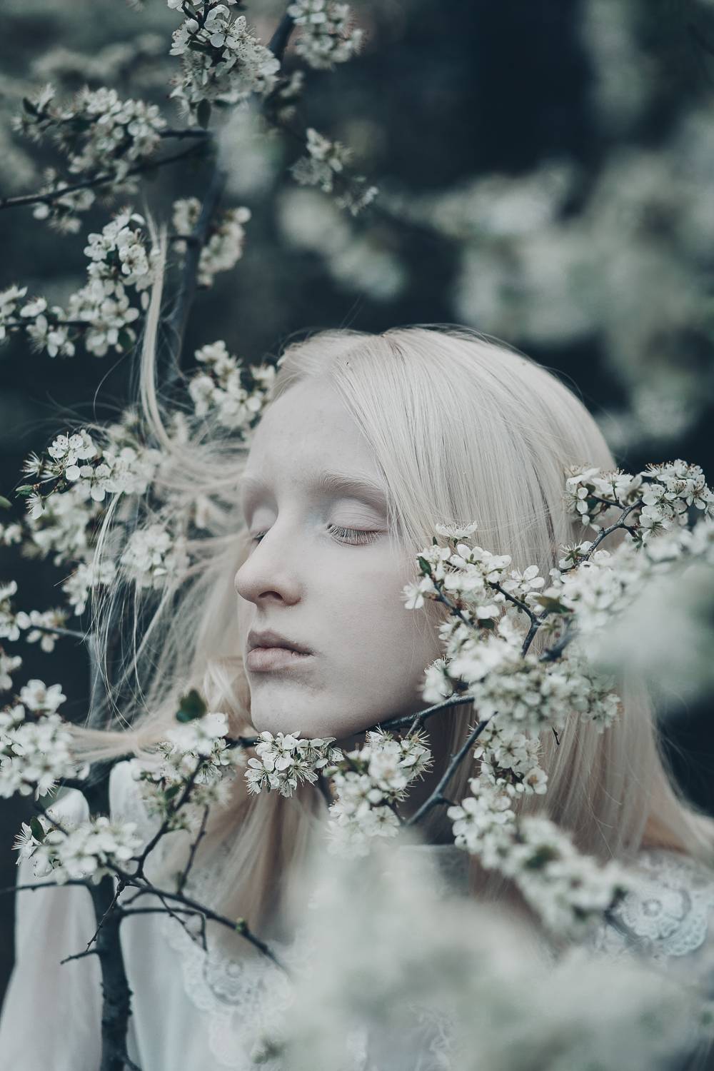 35mm, 4x5, 6x6, 6х6, 85mm, Art, Artnude, Ballerina, Ballet, Battur, Beautiful, Beauty, Canon, Canon 5D Mark III, Car, Color, Dance, Dress, Emotion, Eyes, Face, Flowers, Ganzo, Genre, GirlHair, Hero,LightLilac, Model, Mongol, Mongolia, Вероника Гергерт