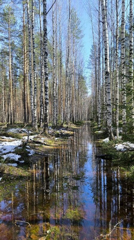 Весна фото превью