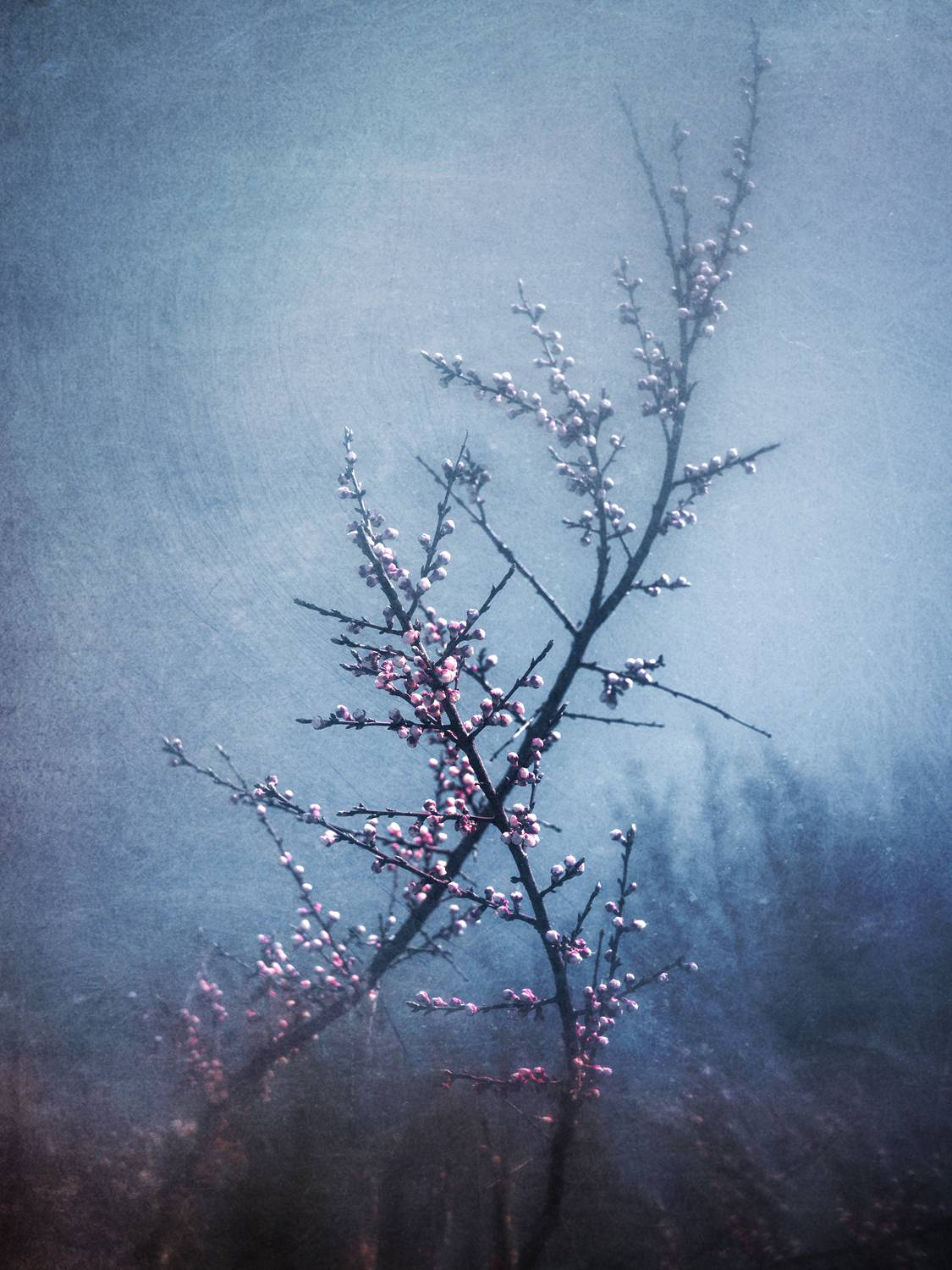 весна, Сергей Кот