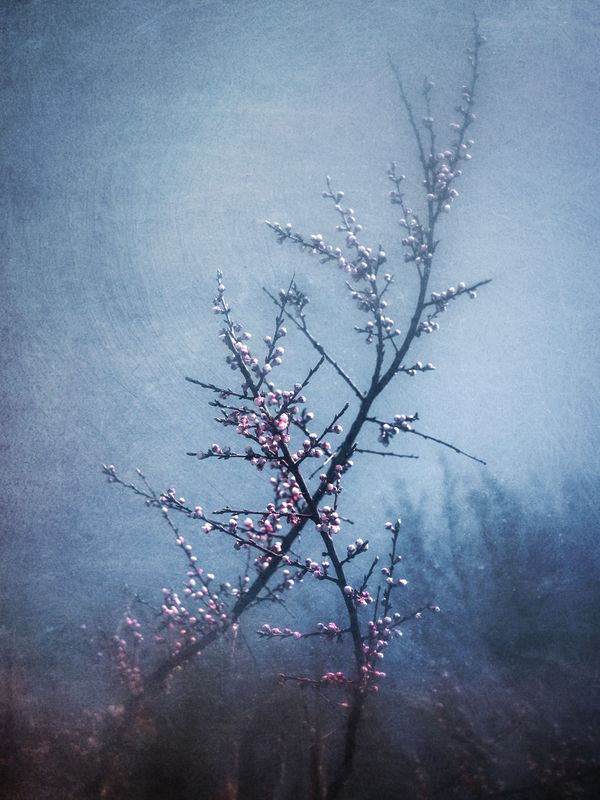 весна Апрель. фото превью