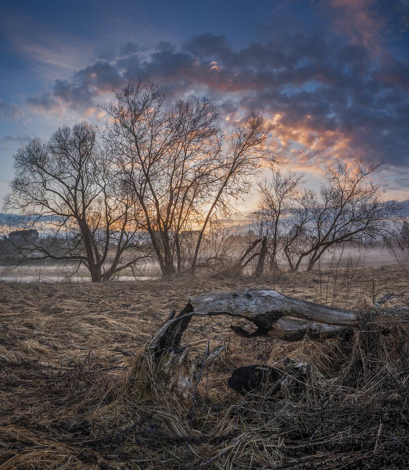 , Андреев Николай