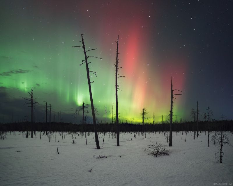 На севере весна! фото превью