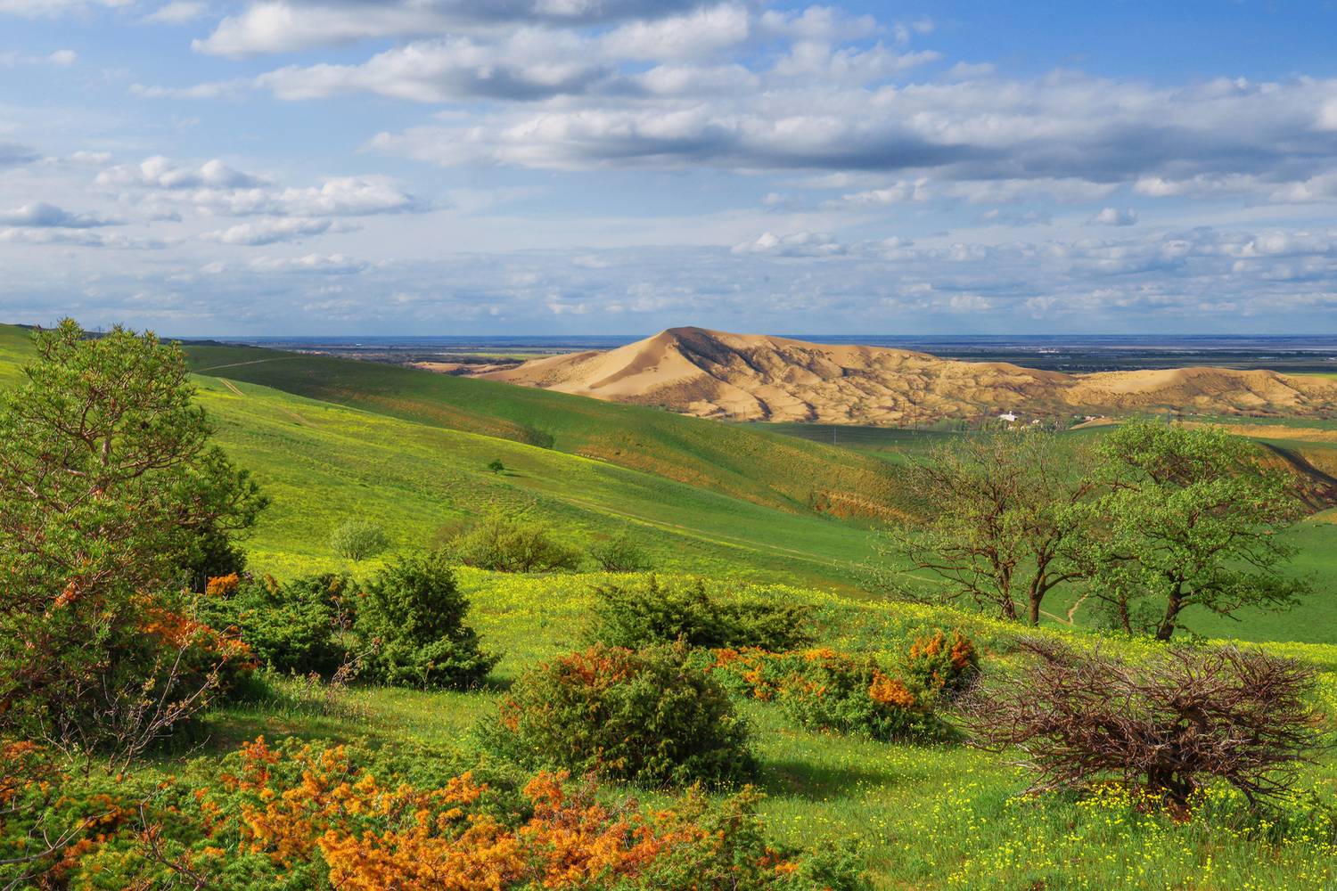 сары кум,песчаная гора,бархан,дагестан,, Magov Marat