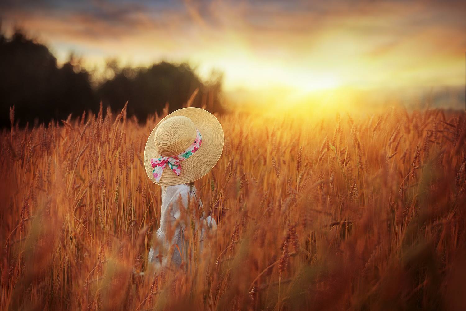 , Фотов Ренат