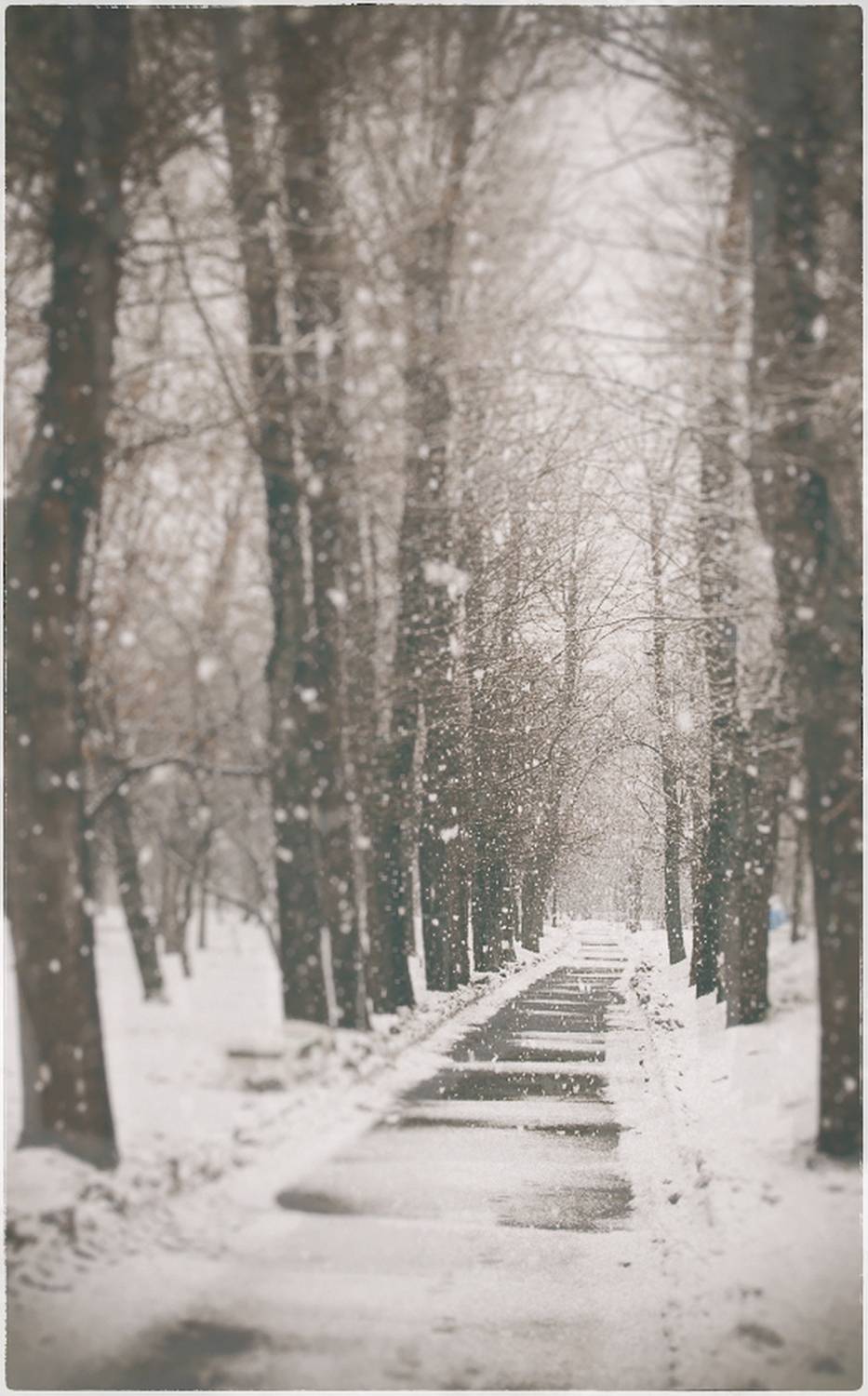 , Евгений Зинов