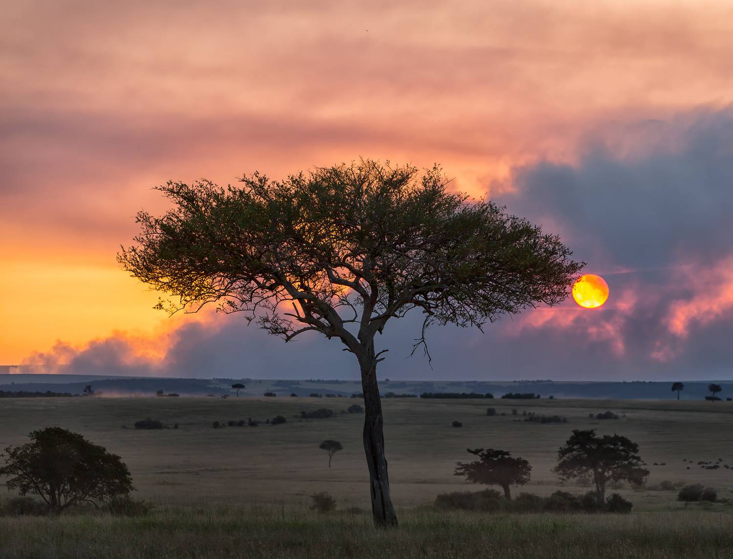 , Vorobeychik Vladimir