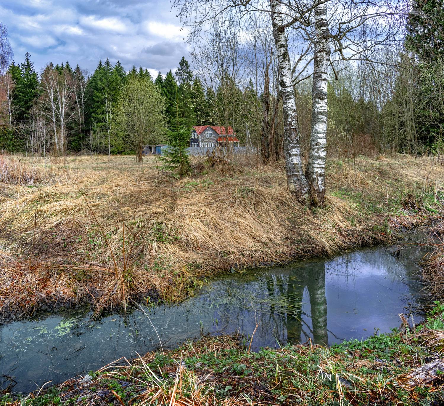весна, опушка, домик, берёзы, Виктор Климкин