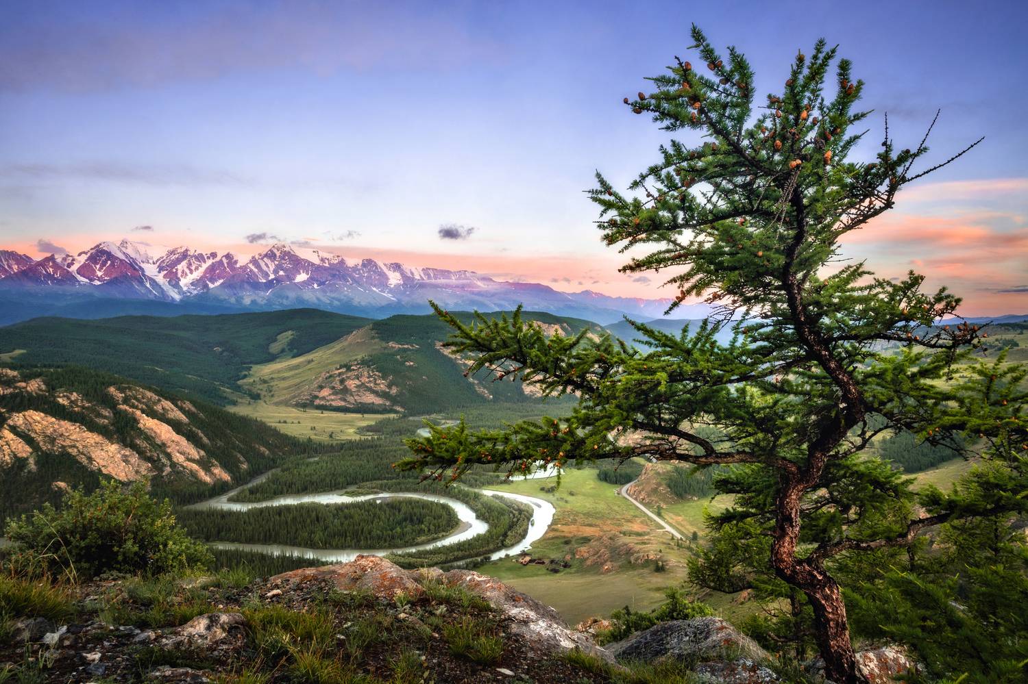 Алтай, синий час, река, дерево, горы, рассвет, Фоменко Артем