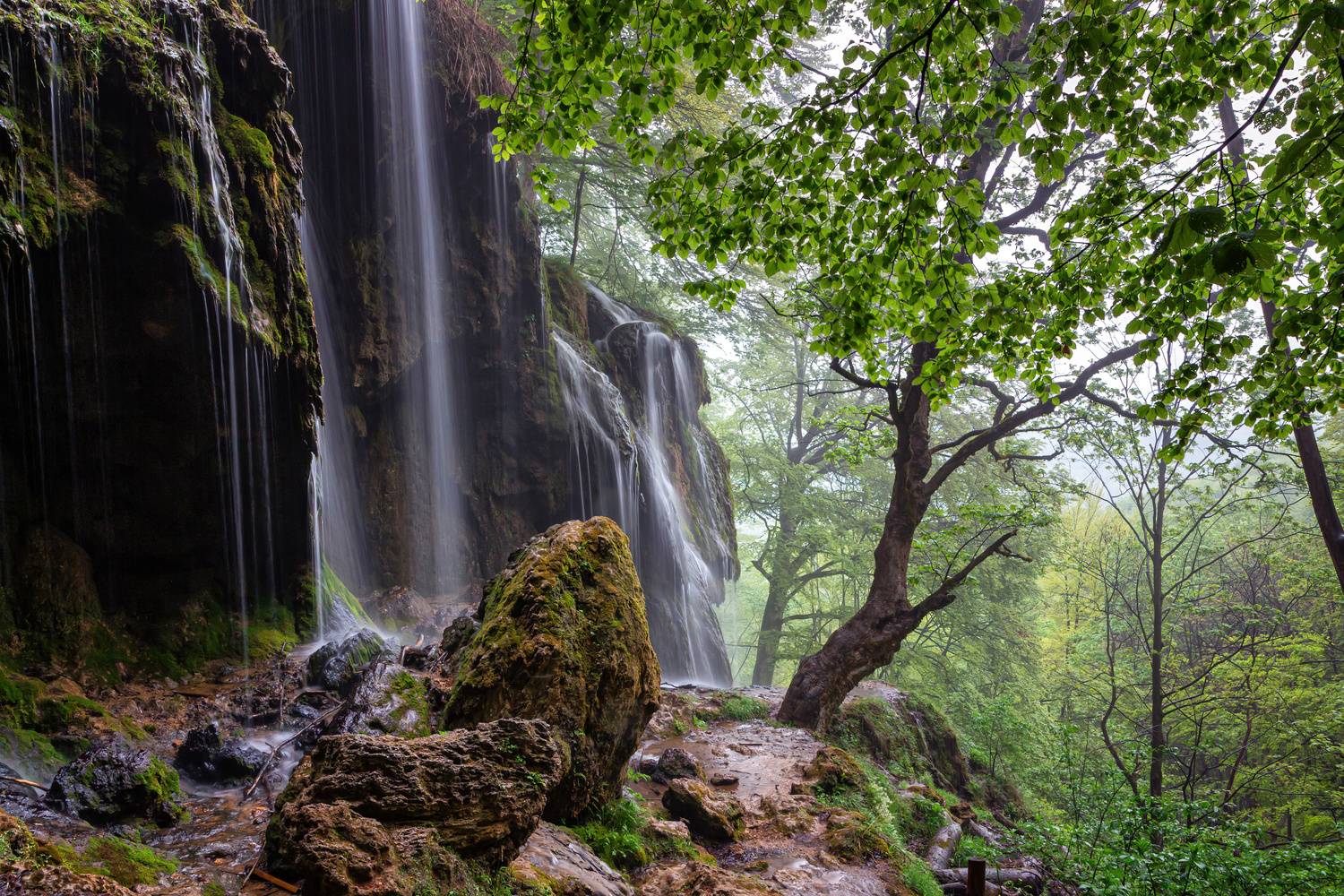 , Бистра Стоименова