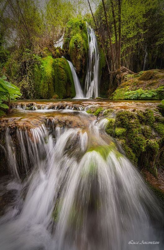 The Nature фото превью