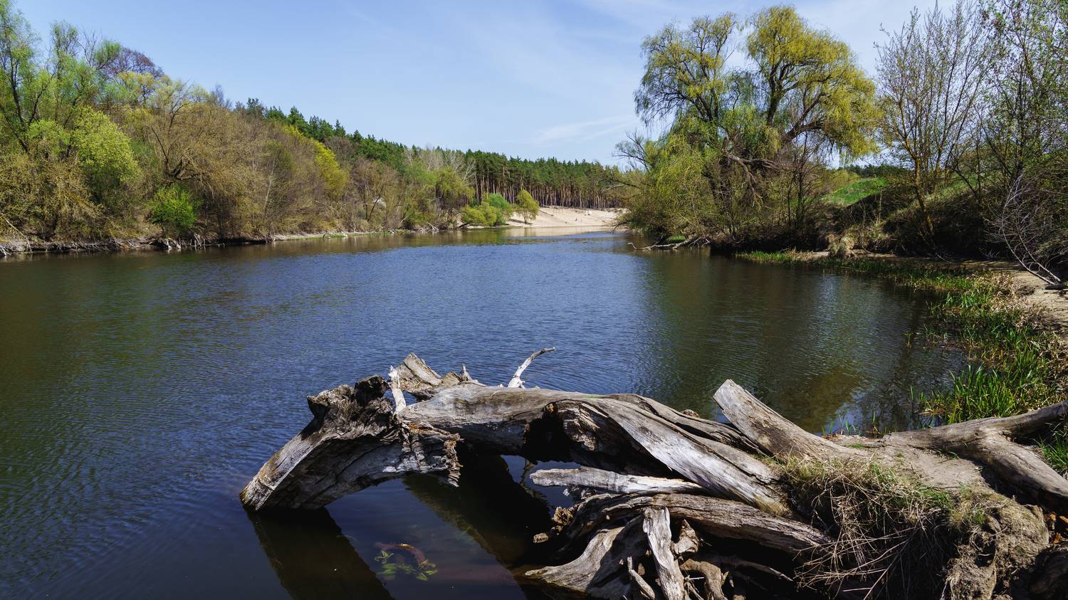 , Вертиков Юрий