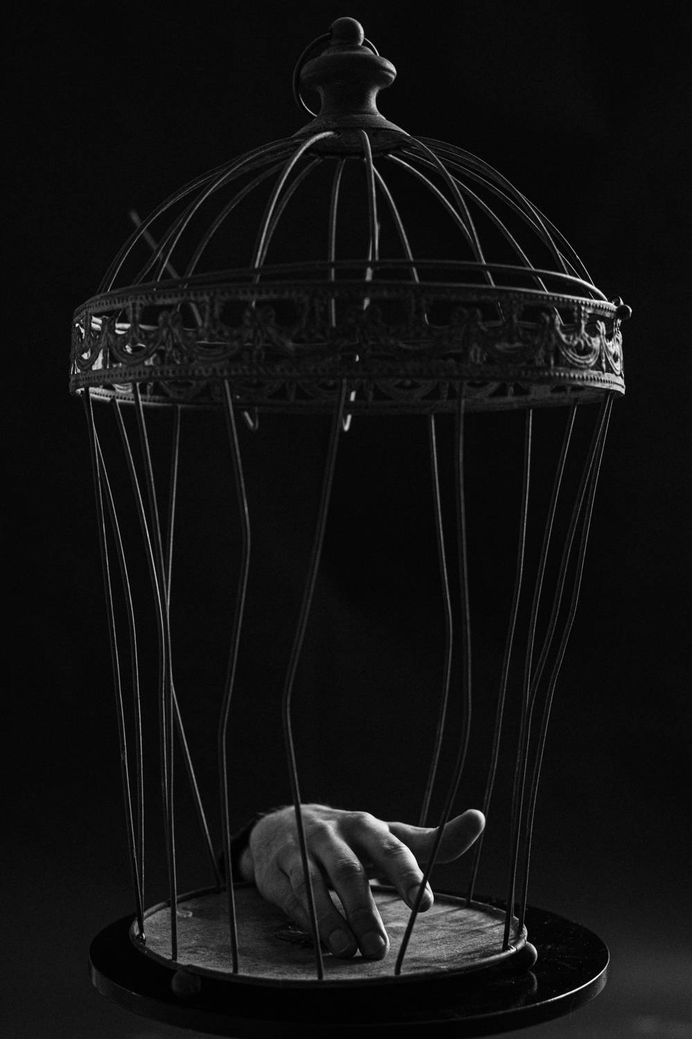 , Щеглова Марина