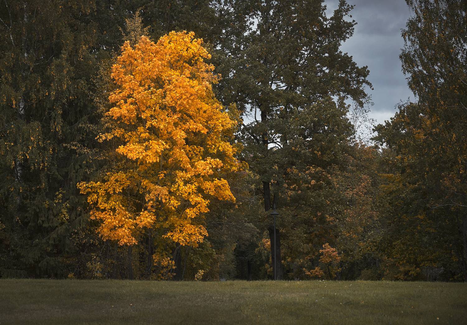 , Аседач Александр