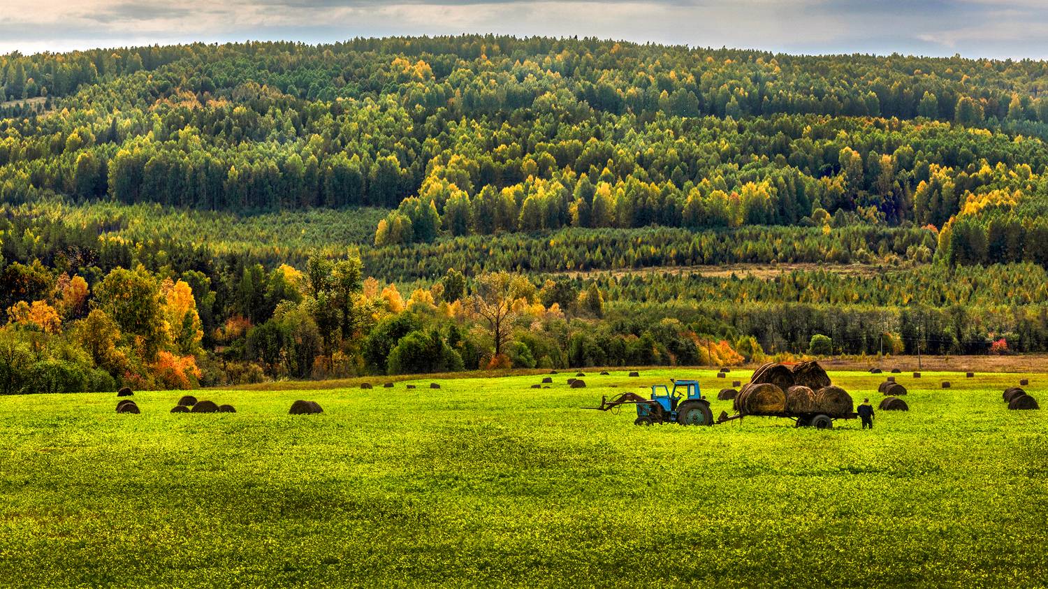 , Ушаков Валерий