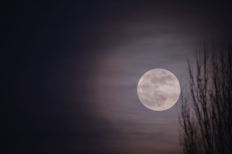 полнолуние, суперлуние, сателлит, луна, ночная съемка, пейзаж Такая притягательная луна фото превью