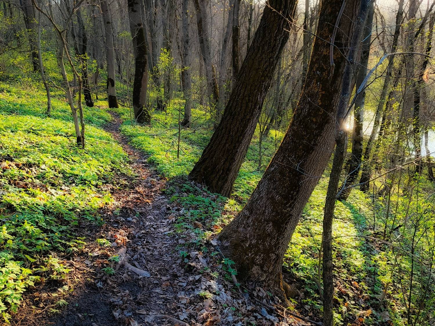 , Кондрашова Светлана