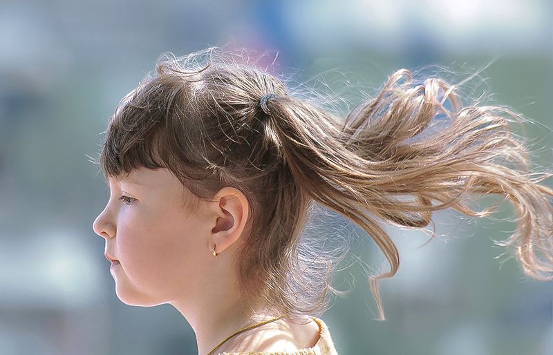 Унесённая ветром фото превью