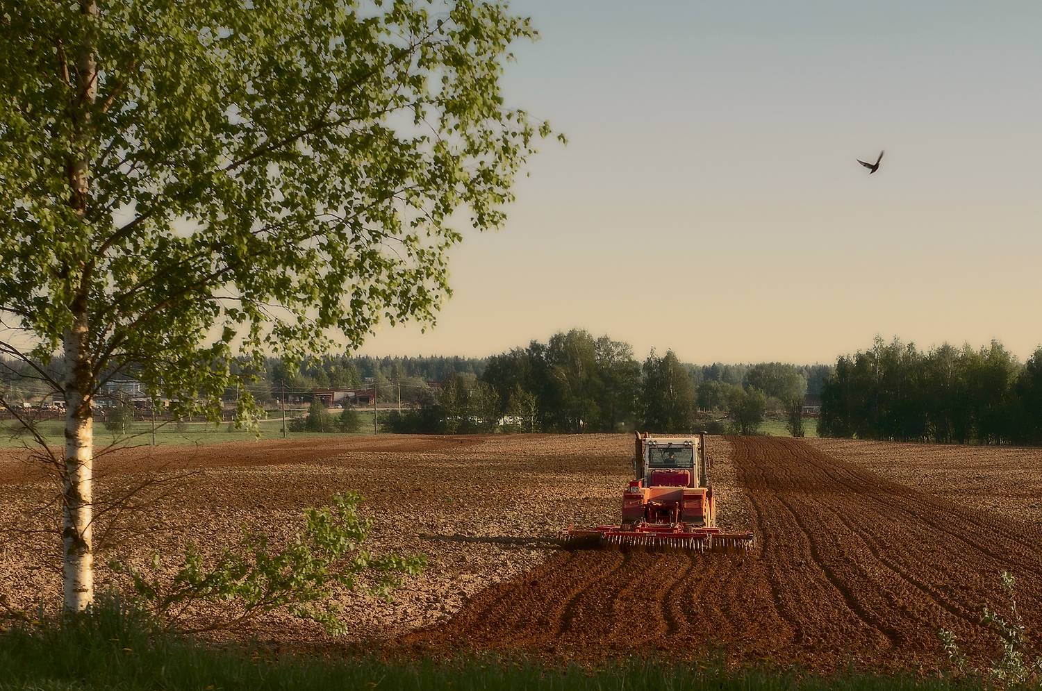 , Олег Тыркин