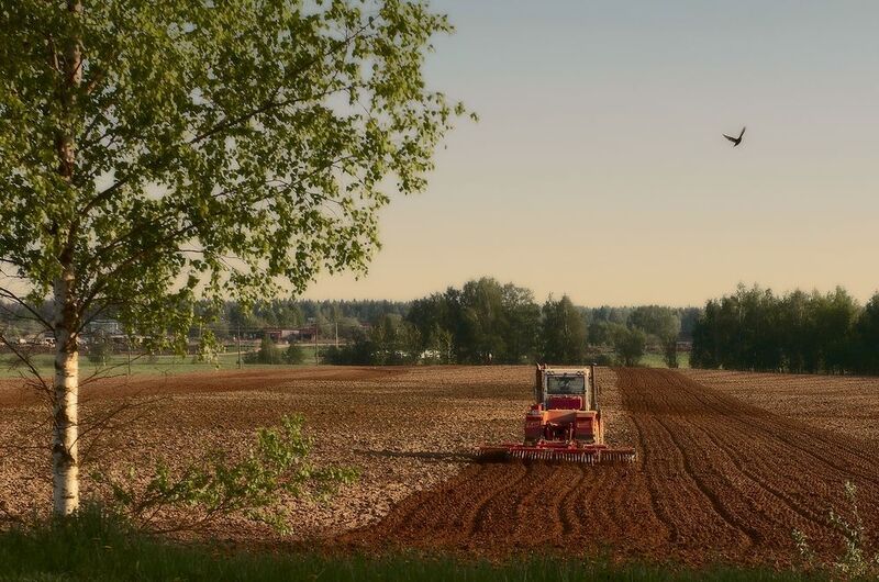 Время сеять фото превью